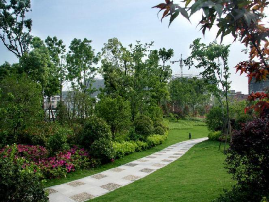 640 (6).png 640 (6).png