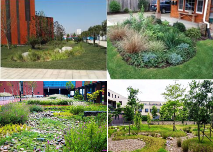 640 (8).png 640 (8).png